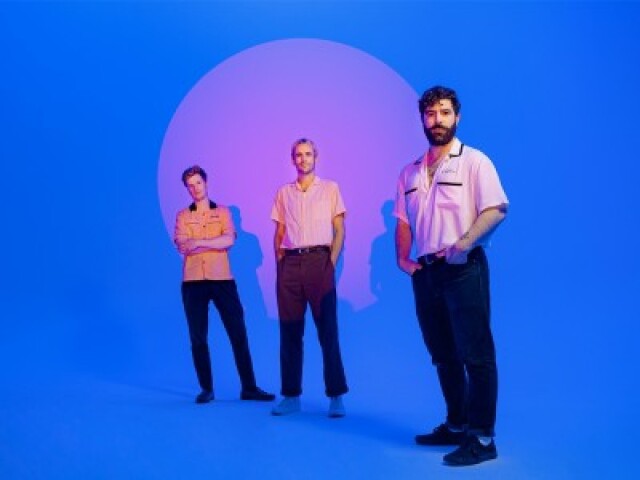 foals