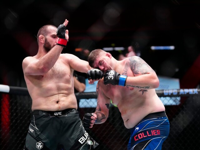 buday UFC