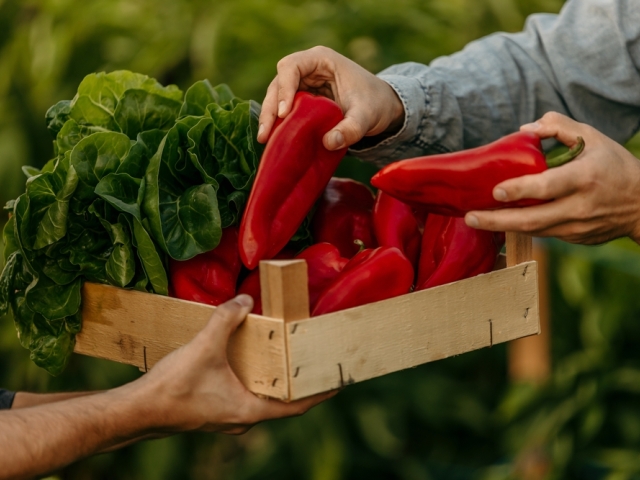 paprika