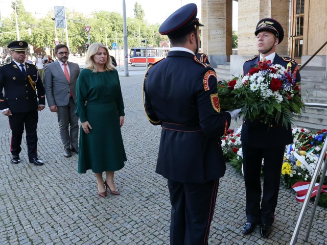čaputová, okupácia