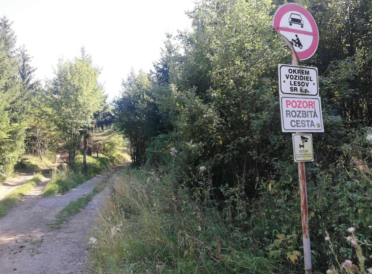 lesná cesta, Repište, hrad Marcus