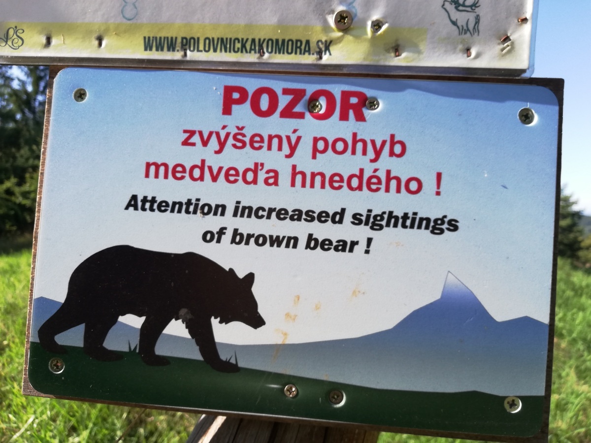 medvede, tabuľka, Repište