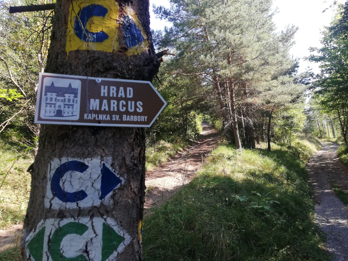 Repište, lesná cesta, hrad Marcus