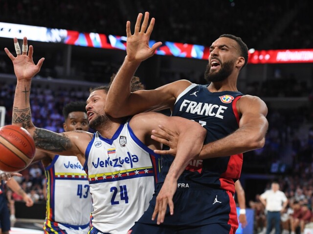 rudy gobert