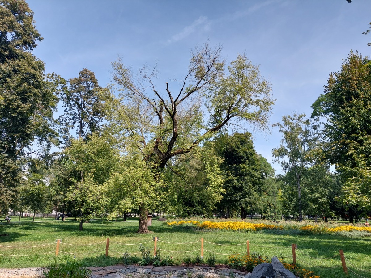 Mestský park Košice