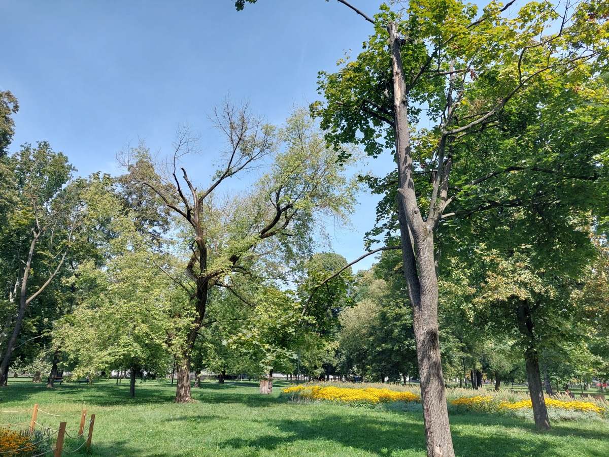 Mestský park Košice