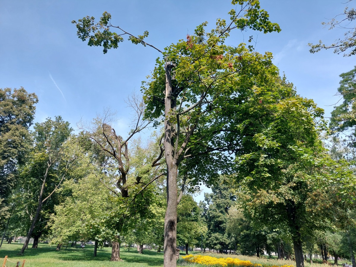 Mestský park Košice