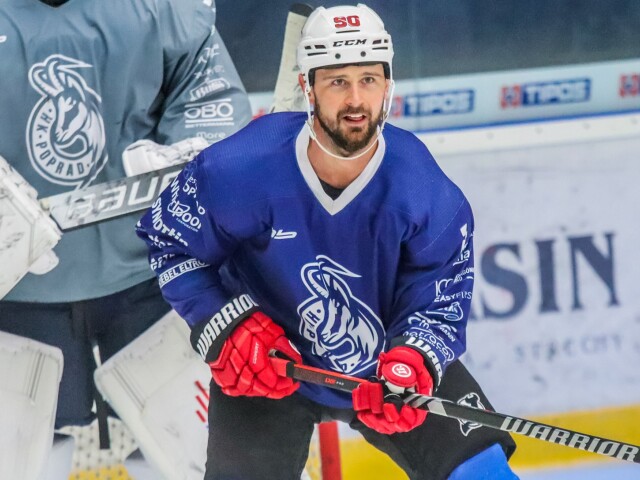 tomas tatar1-vyrez