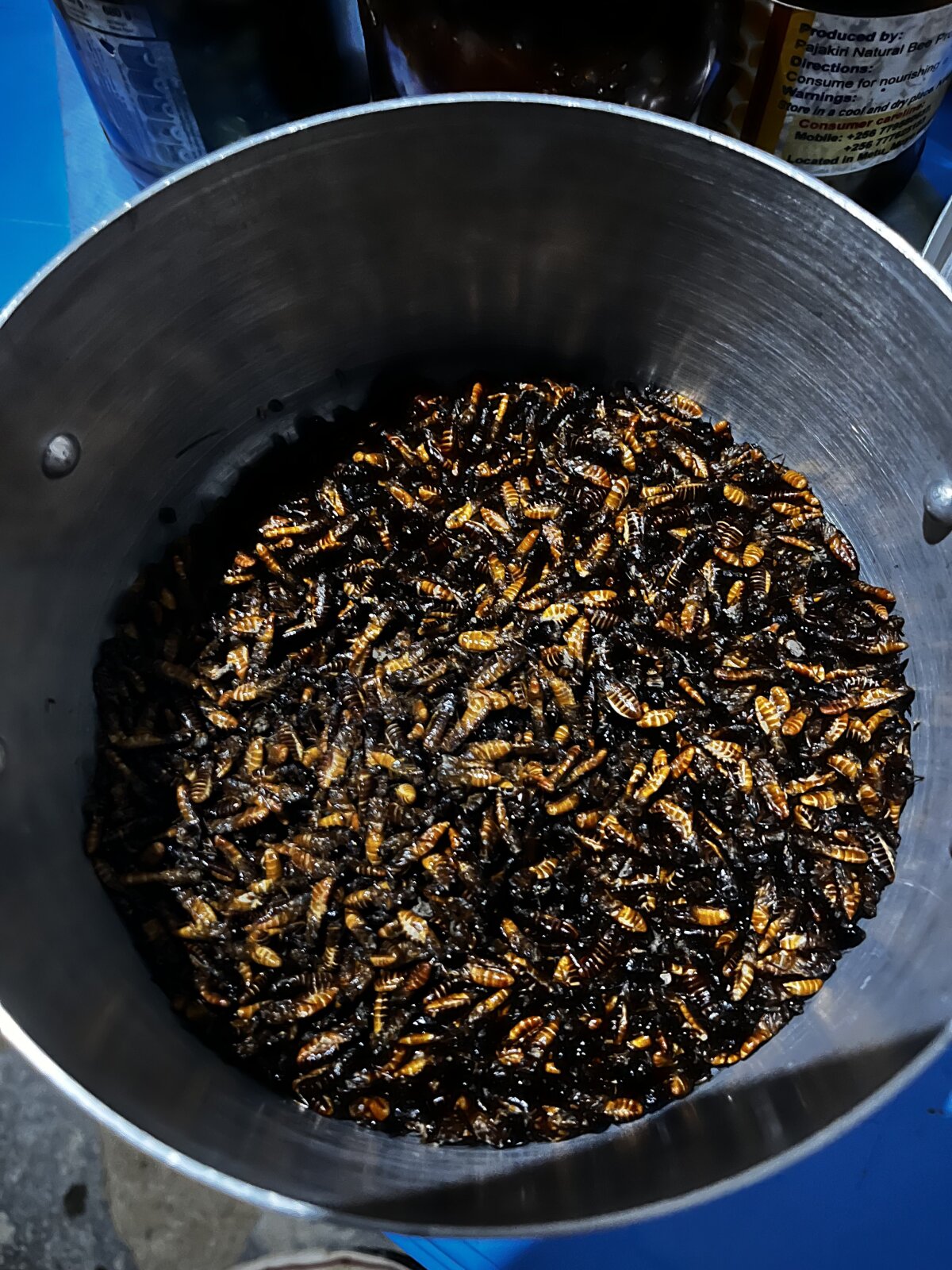 NEPOUZ, Uganda, Termity  White Ants alebo onja v madi  su lokalnou pochutkou