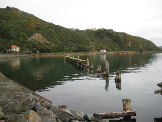 shelly-bay