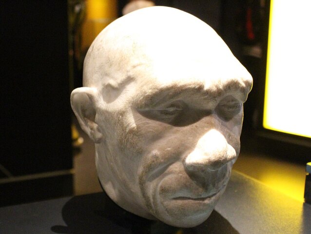 Homo heidelbergensis