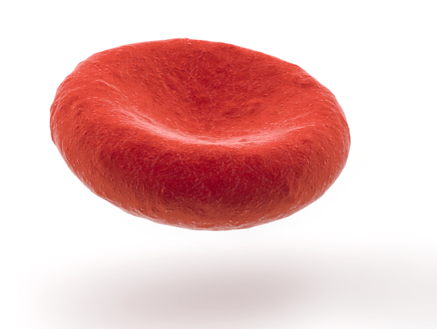 Krvinky