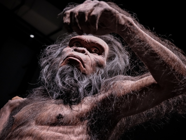 Homo habilis, pračlovek, australopitecus