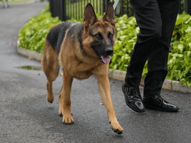 commander