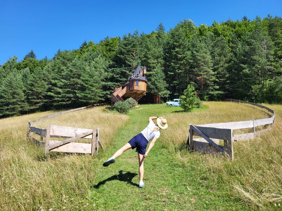 Harry Potter, domček, Čavoj