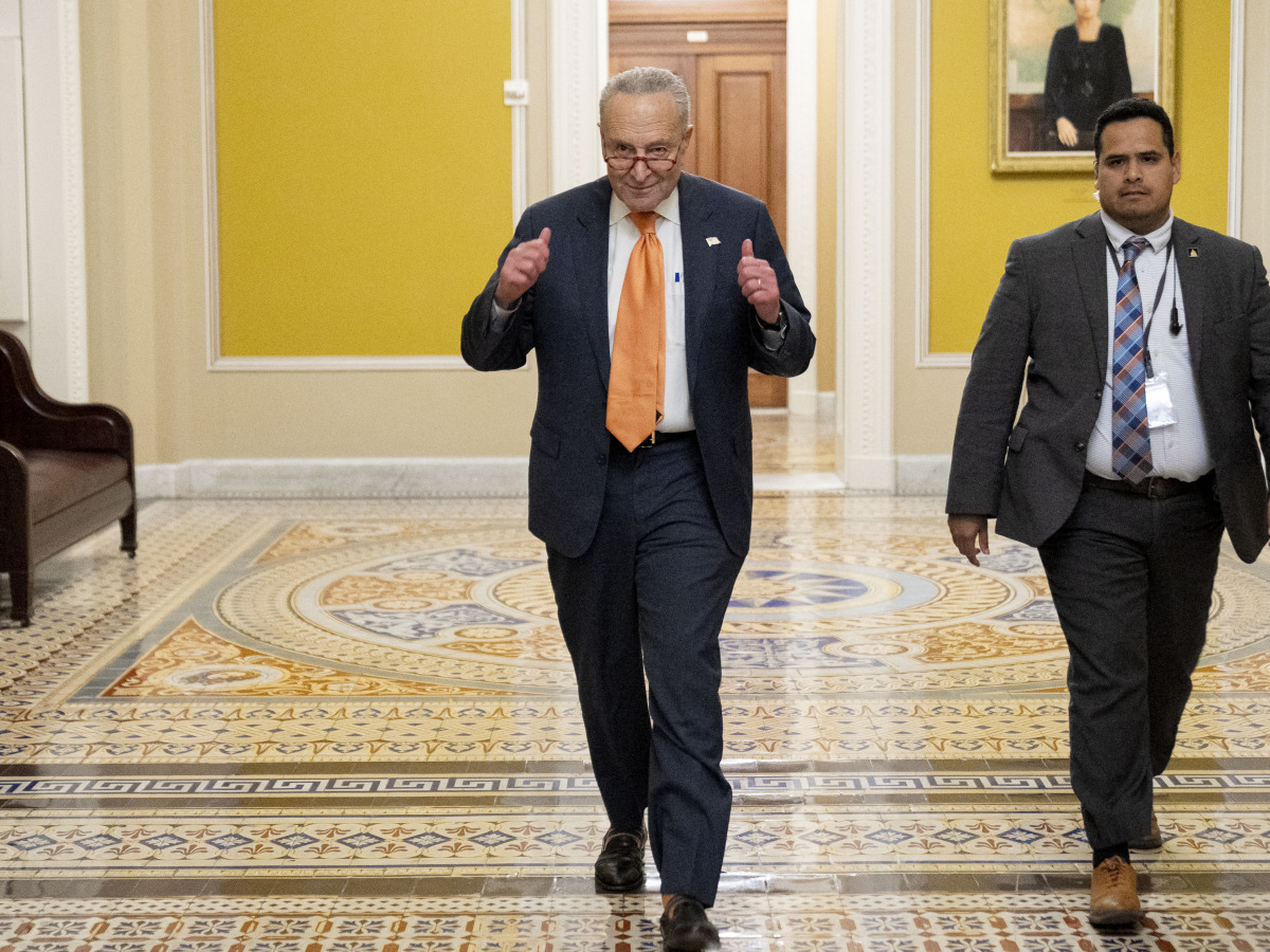 Kongres, USA, Chuck Schumer