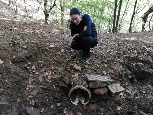 banský jarok