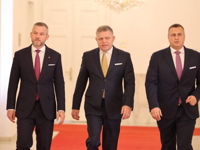 pellegrini fico danko