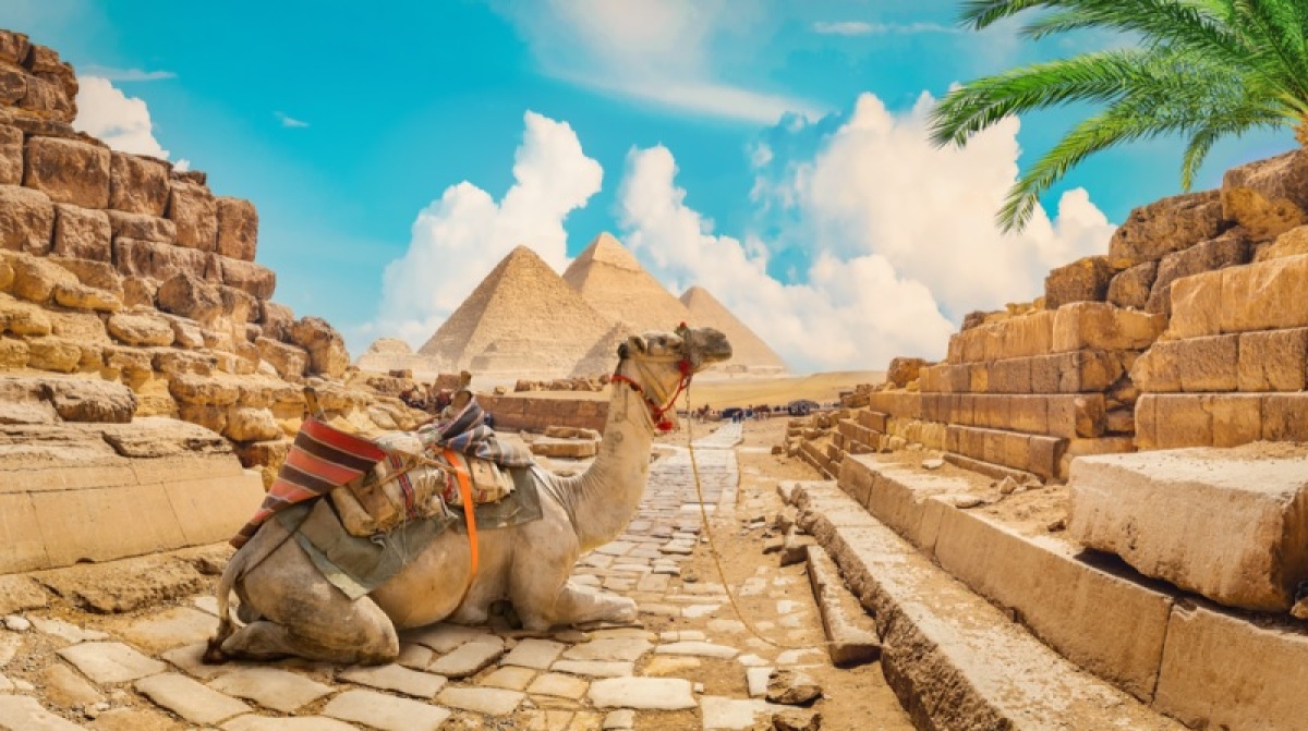 Egypt Tava, pr, nepouzivat
