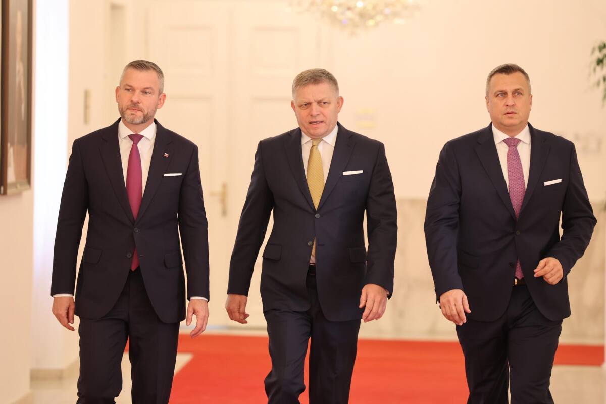 pellegrini fico danko