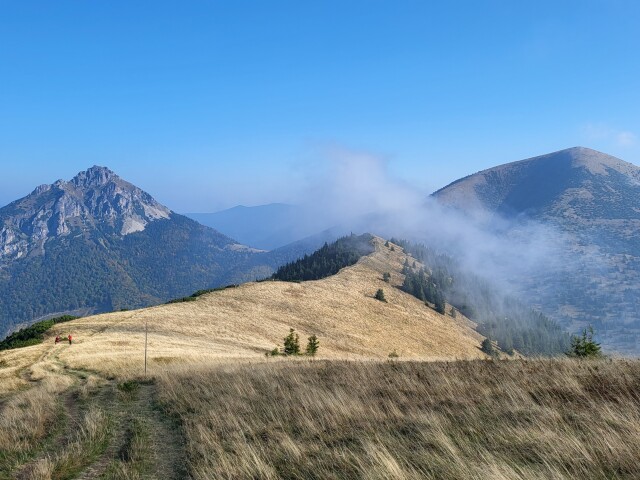 Malá Fatra, mReportér