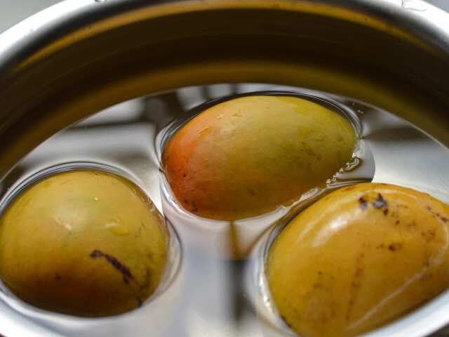 mango