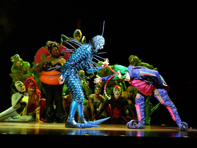 ovo, Cirque do Soleil
