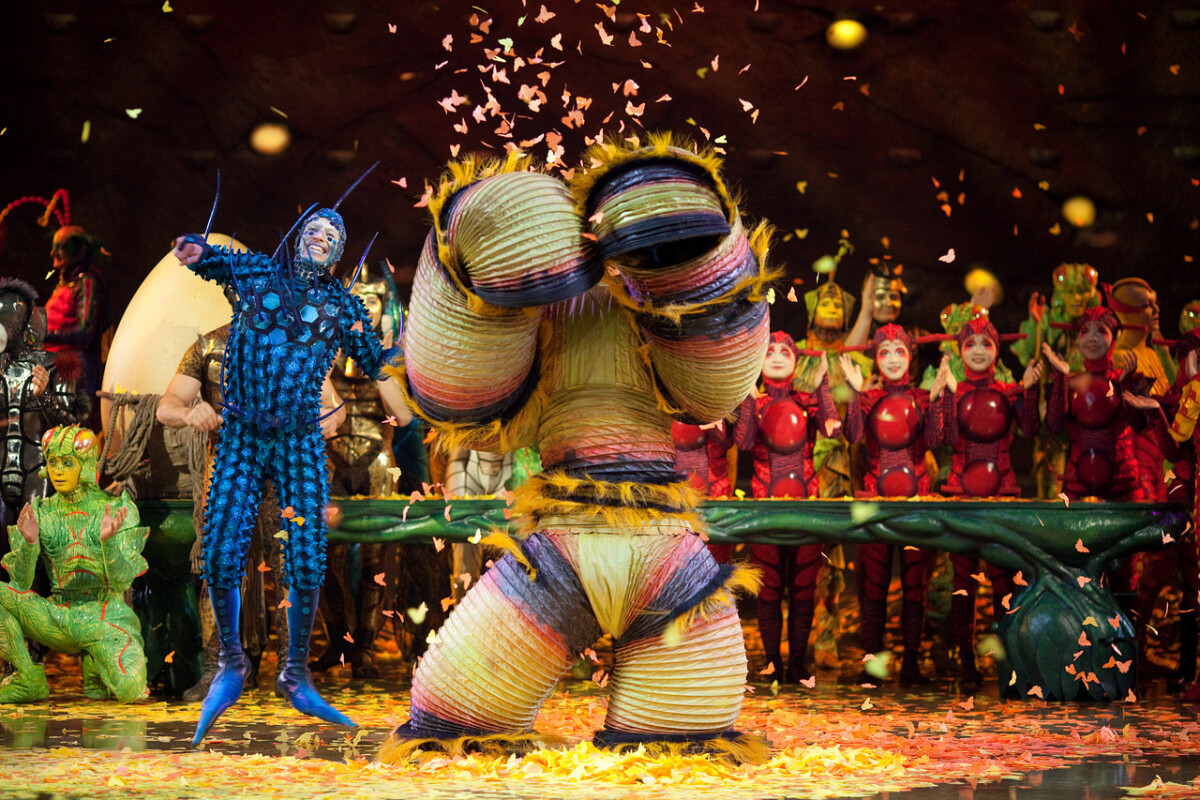 ovo, Cirque do Soleil