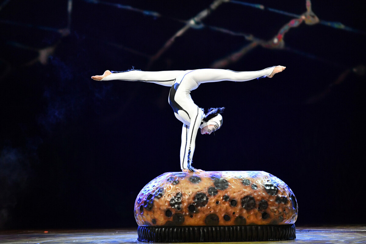 ovo, Cirque do Soleil
