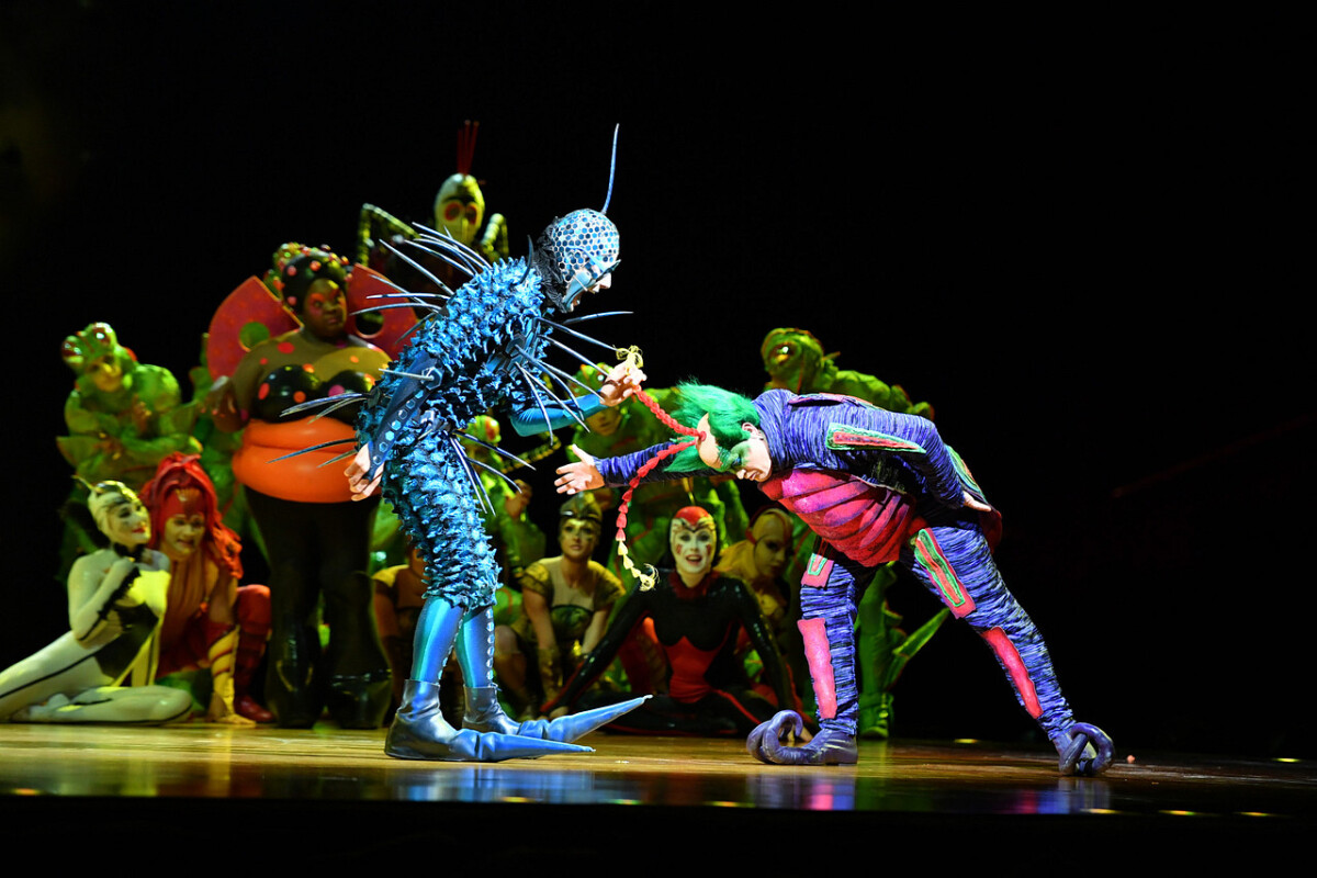 ovo, Cirque do Soleil