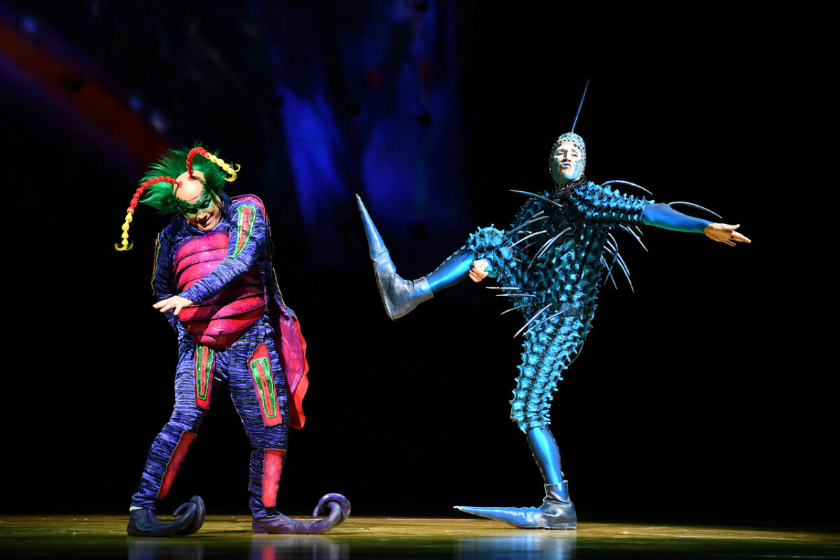 ovo, Cirque do Soleil