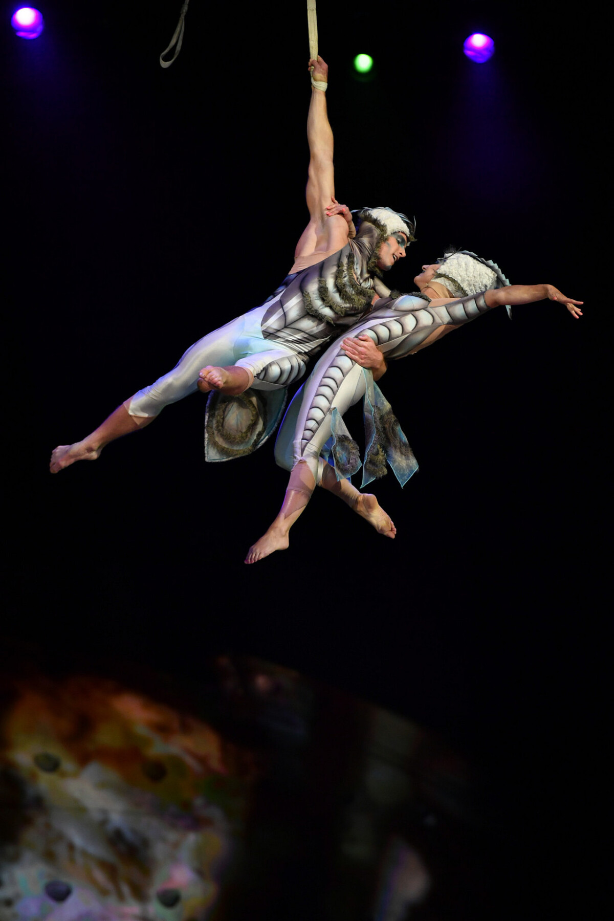 ovo, Cirque do Soleil