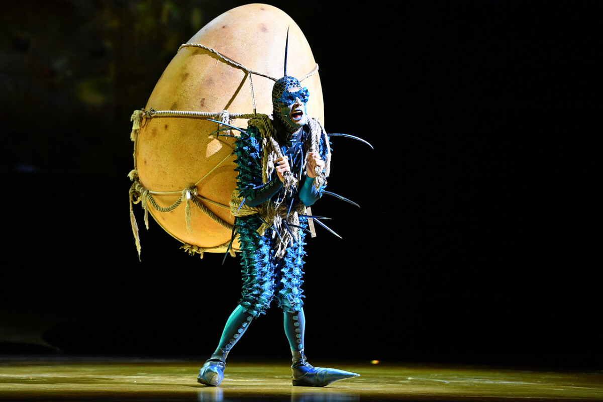 ovo, Cirque do Soleil