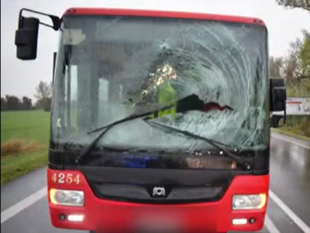 Autobus