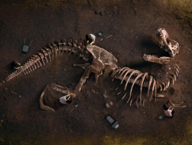 dinosaurus, fosília