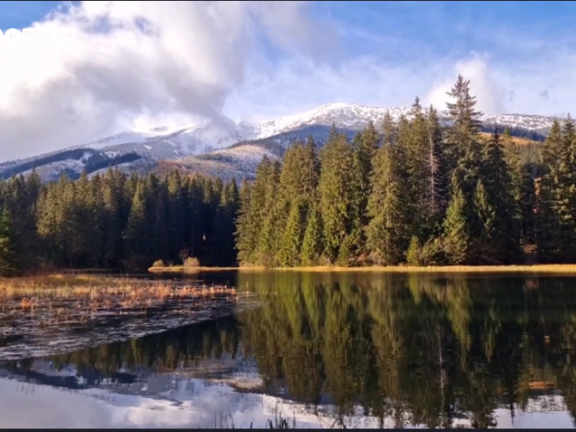 Vrbické pleso, mReportér