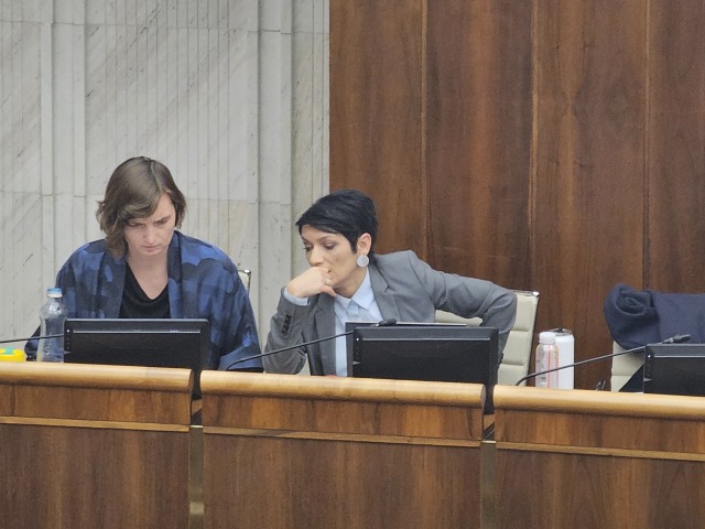 Lucia Plaváková / Irena Bihariová /