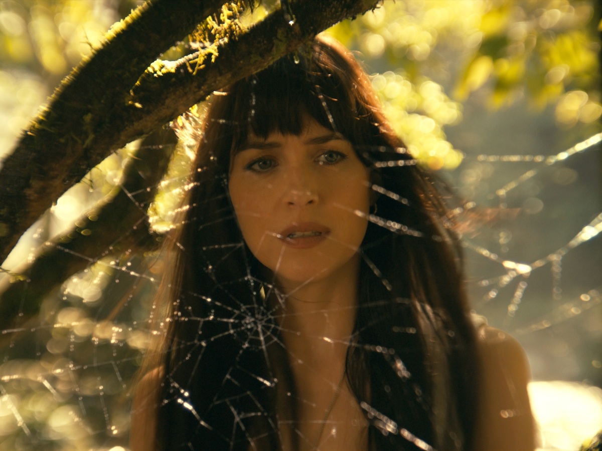 madame web,