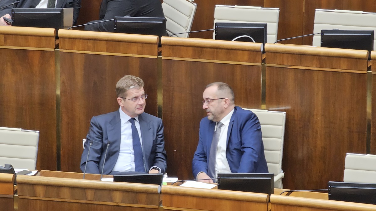 parlament, žiga