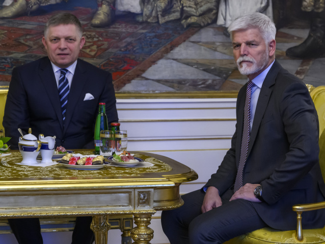 fico, pavel