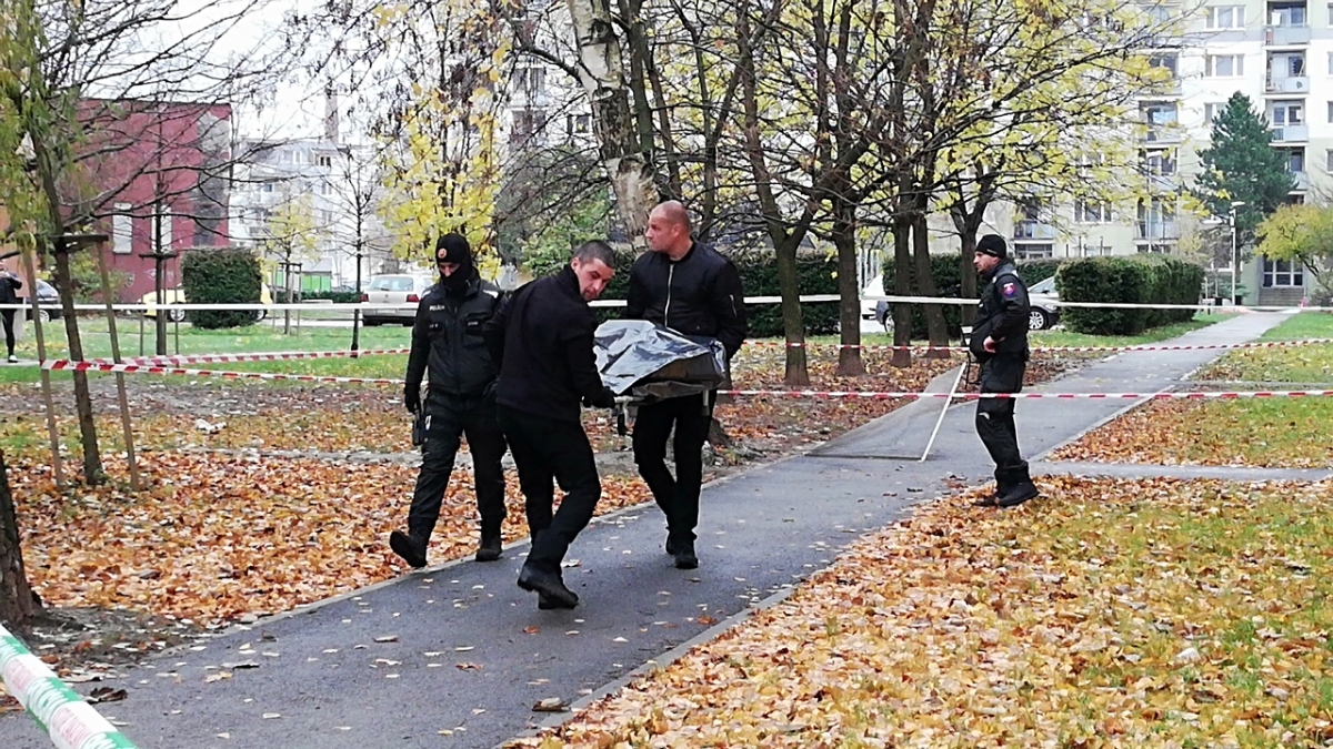 Šaľa / Bytovka /