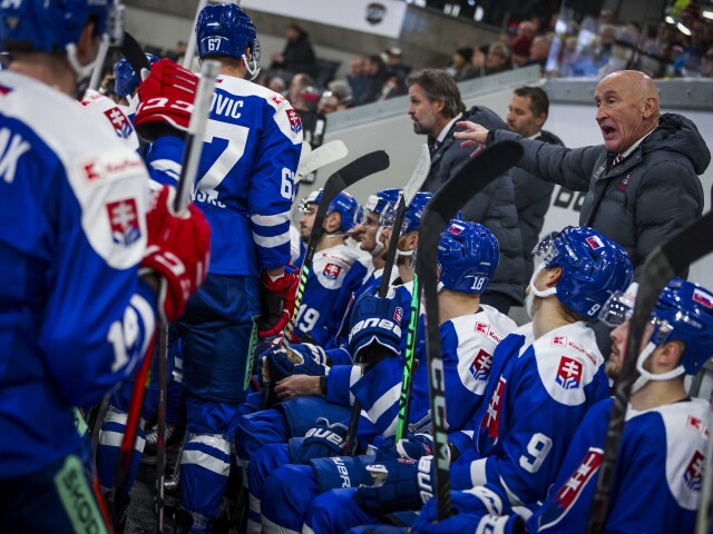 Nemecko šport hokej NP Slovensko Dánsko