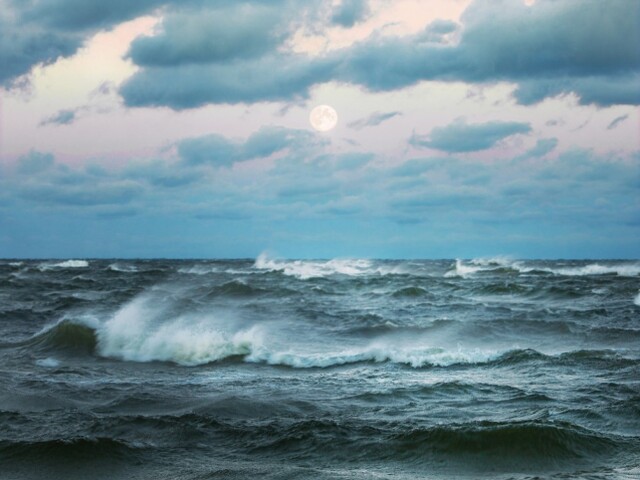 more, oceán