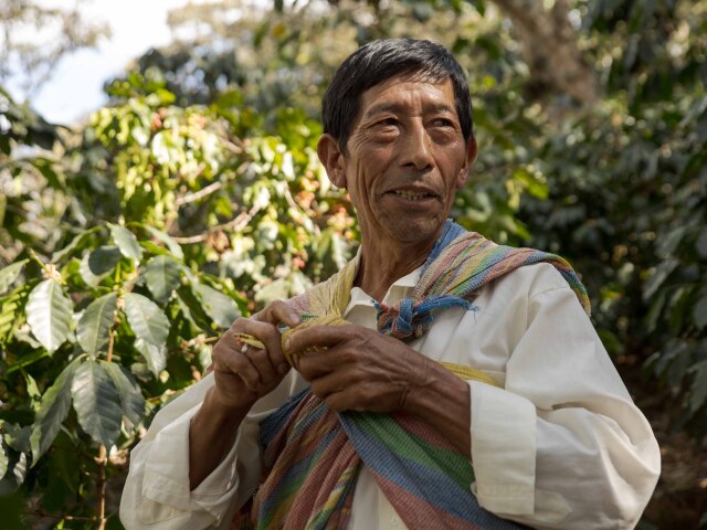 peru, kava, pestovatel