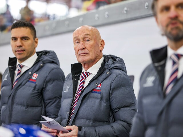 Nemecko šport hokej NP Slovensko Dánsko