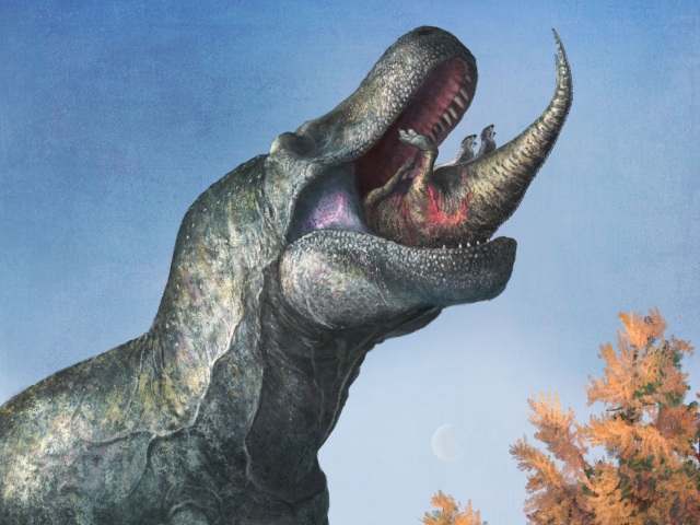 Tyrranosaurus, Edmontosaurus