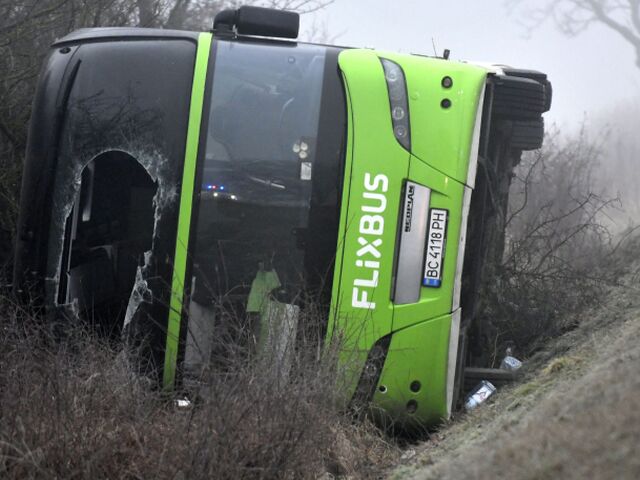 Dargov / Autobus /