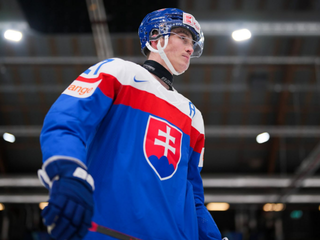 honzek hokej