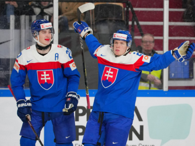 honzek hokej