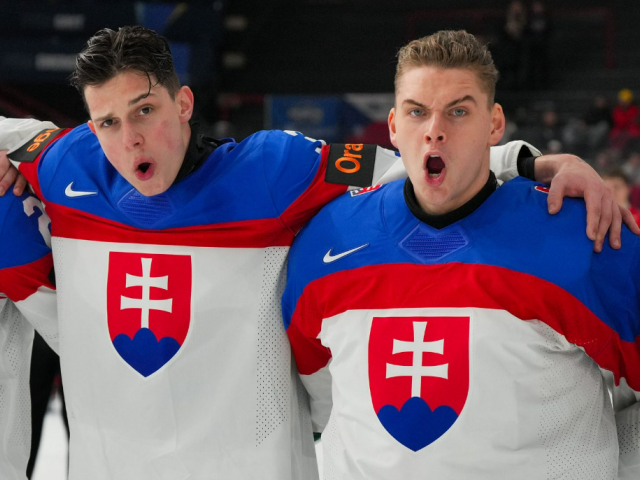 slovensko MSJ
